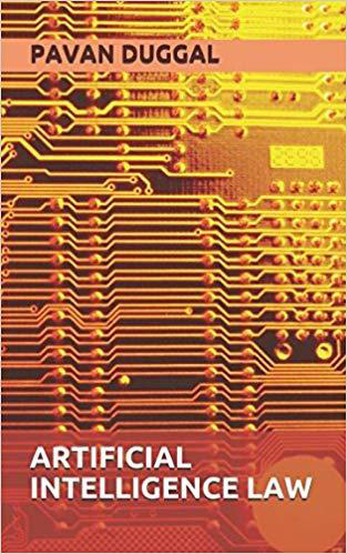ARTIFICIAL INTELLIGENCE LAW (Paperback)